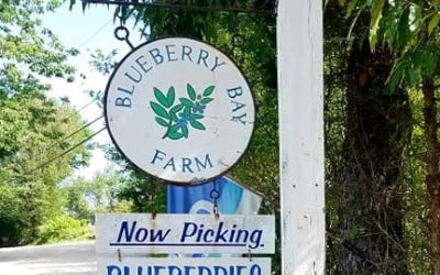Blueberry Bay Farm