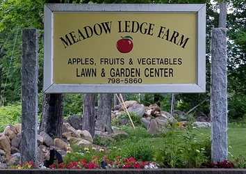 Meadow Ledge Farm
